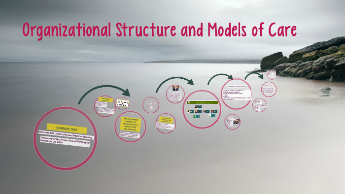 Organizational Structure and Models of Care by Candace Ivey on Prezi
