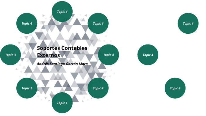 Soportes De Contabilidad Externos Modalidad Contable 5393