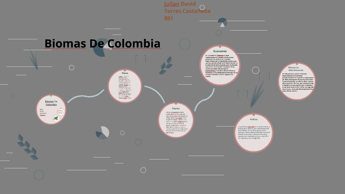 Biomas De Colombia by Julian David Torres Castañeda on Prezi