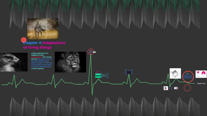 polar bears adaptations by