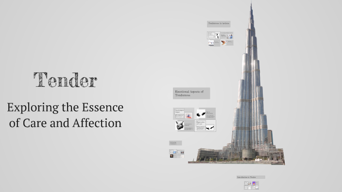 Tender ishtirokchisi