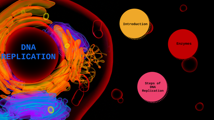 Dna Replication By Atef Dalibalta On Prezi 