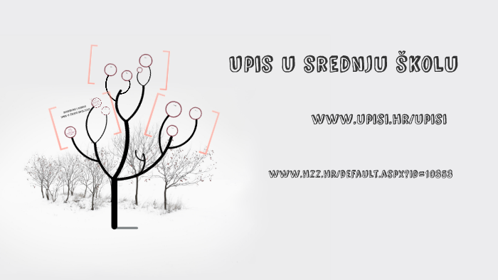 Upis U Srednju Skolu By Petra Nosic