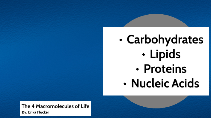 4 macromolecules essential.for life