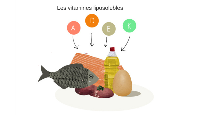 Les vitamines liposolubles by Jean-Christophe FINOT on Prezi