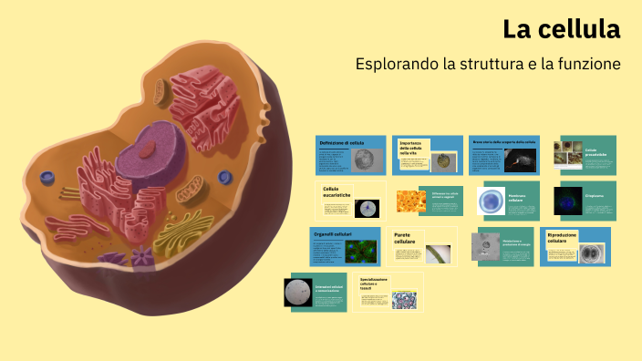 La cellula by Stefania Fiorini on Prezi