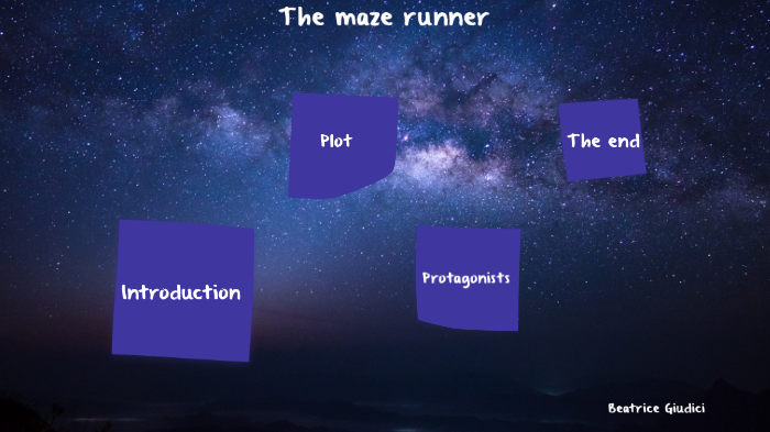 maze runner film review essay