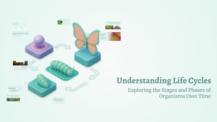 Understanding Life Cycles by Ava Wessels on Prezi