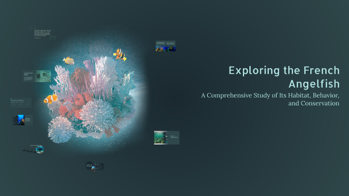 Exploring the French Angelfish by Damaris Hernandez on Prezi