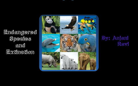 Endangered Species and Extinction by Anjani Ravi on Prezi