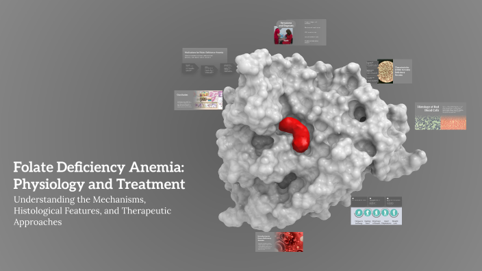 Folate Deficiency Anemia: Physiology and Treatment by Rawan on Prezi