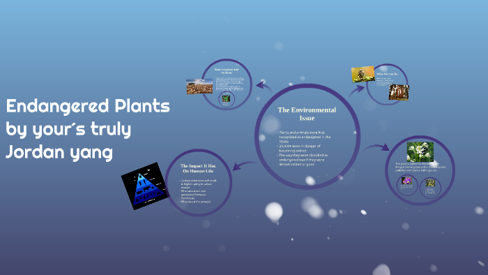 Endangered Plants by Jordan Yang on Prezi