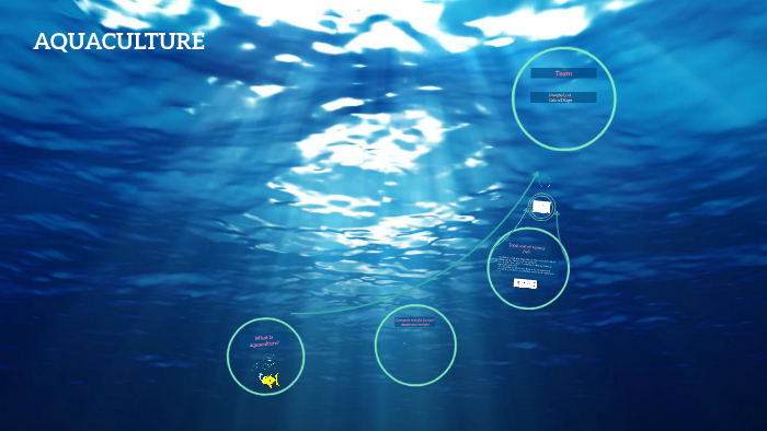 Chapter 2 - Project B - Aquaculture By Gabriel N On Prezi