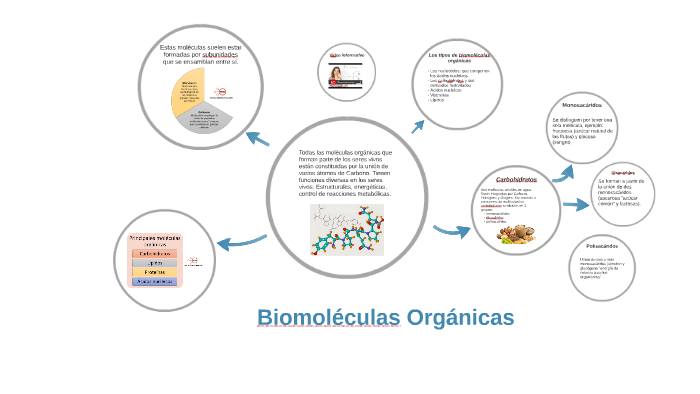Biomoléculas Orgánicas by Edu Pineda on Prezi