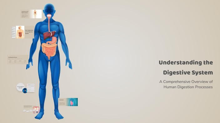 Understanding the Digestive System by Franek Świtalski on Prezi