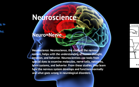 neuroscience research project ideas