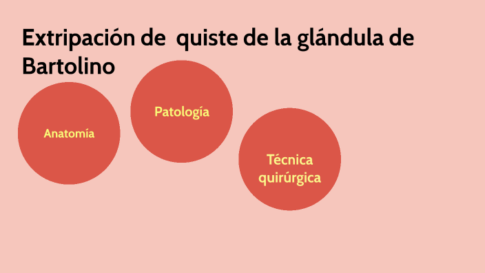 Extripación De Quiste De La Glándula De Bartolino By Ana Gaby On Prezi