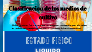 clasificacion de medios de cultivo by edgar joel jurado sorto on Prezi ...