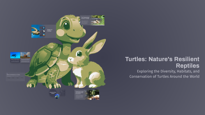 Turtles: Nature's Resilient Reptiles by Вероника Пиунова on Prezi