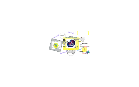 Animal Cell Organelles by Brad Bowman on Prezi