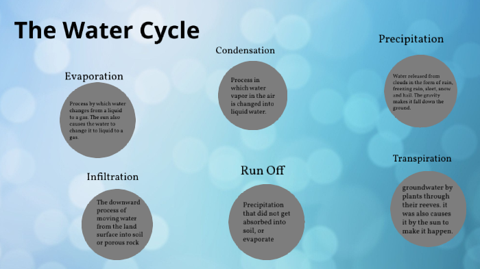The Water Cycle by Amy Carrillo on Prezi