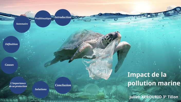Oral 3ème Impact de la pollution marine by Julien Kerourio on Prezi