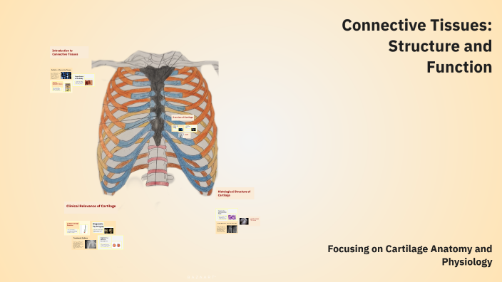 Connective Tissues: Structure and Function by Zarmeen Raza on Prezi