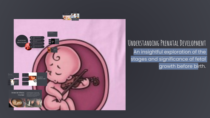 Understanding Prenatal Development by Gretel Perez Lopez on Prezi