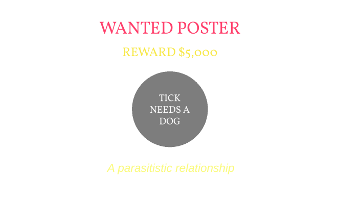Dog And Tick Symbiotic Relationship Wanted Poster Thaily Hernandez 616 2exvkgnb5h37wjjutshzyk7l6l6jc3sachvcdoaizecfr3dnitcq 3 0
