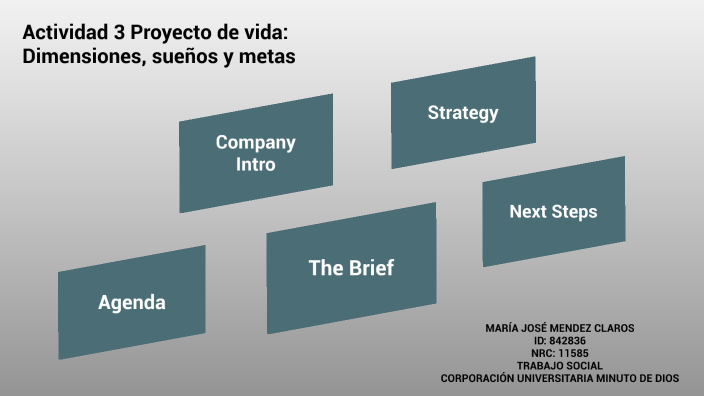 Actividad 3: Proyecto de vida, dimensiones, sueños y metas by María