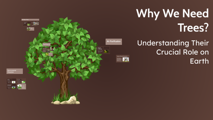 Why We Need Trees? by Gulhayo Gofurova on Prezi