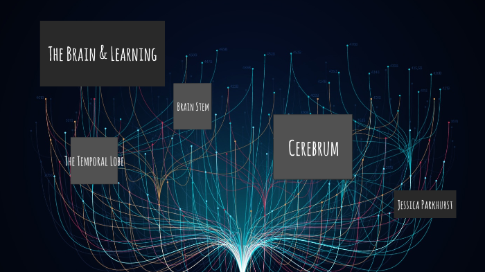 The Brain and its Impact on Learning by Jessica Parkhurst on Prezi