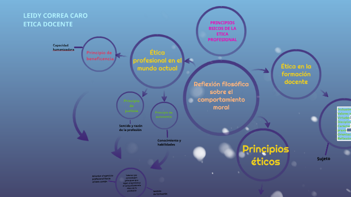 Principios Basicos De La Etica Profesional By Leidy Johana Correa Caro 5090