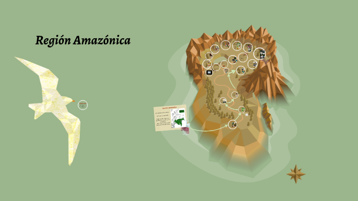 Región Amazónica by Maria Fernanda Rodriguez on Prezi