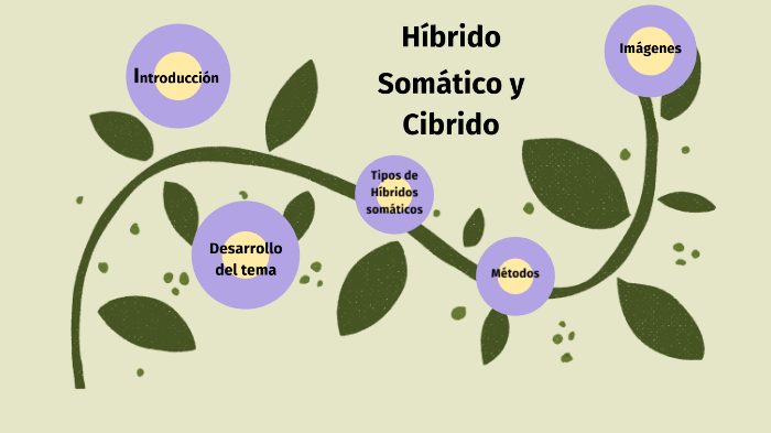 Biotecnología Híbrido somático y cíbrido by Darwin William Vilchez