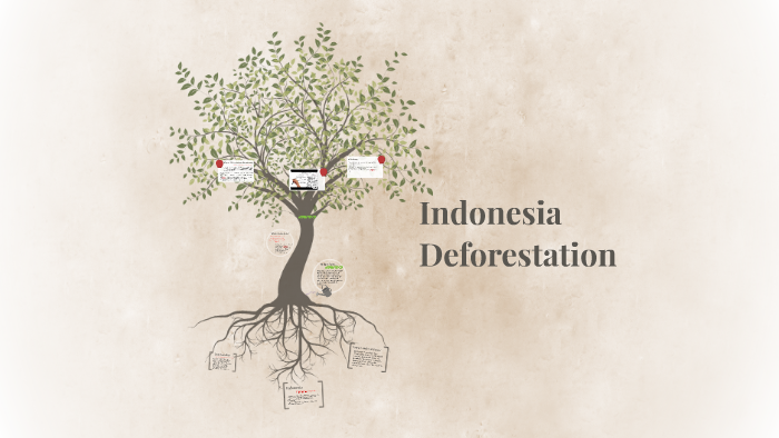 Southeast Asia: Deforestation By Valeria Martin On Prezi