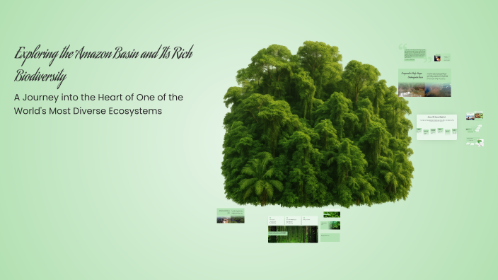Exploring the Amazon Basin and Its Rich Biodiversity by lekshmi lekshmi ...