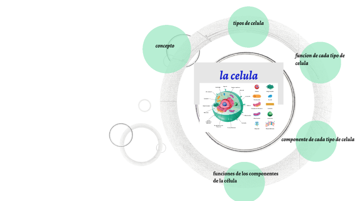 celula by kevin lopez alvarez on Prezi