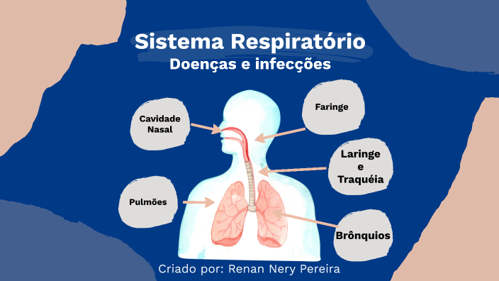 Doenças sistema respiratório by Renan Pereira on Prezi