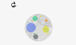 Untitled Prezi