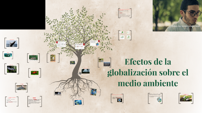 Como Influye La Globalizacion En El Medio Ambiente prezi.com