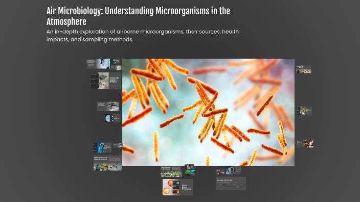 Air Microbiology: Understanding Microorganisms in the Atmosphere by ...