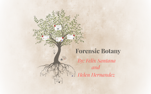 research topics in forensic botany