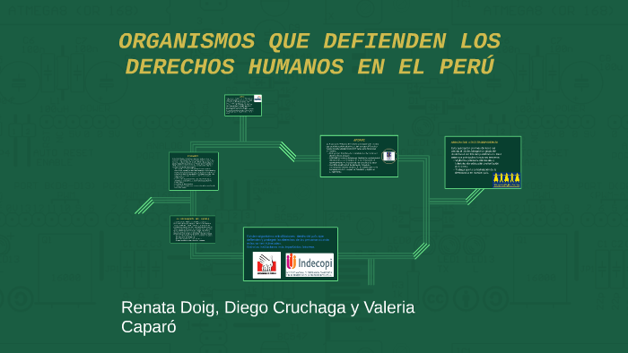 ORGANISMOS QUE DEFIENDEN LOS DERECHOS HUMANOS EN EL PERÚ by Valeria Caparó  Quiroga