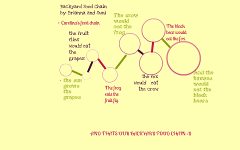 My Backyard Food Chain By Suni Yates On Prezi