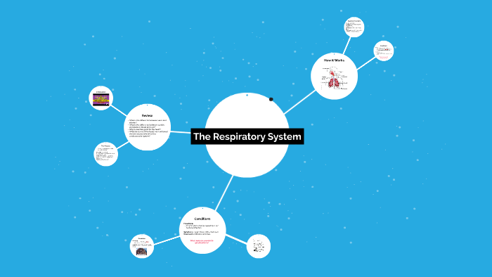 The Respiratory System by Zach Johnson on Prezi