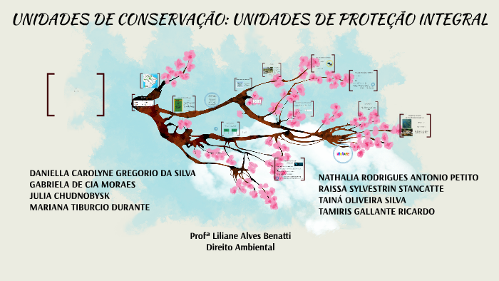 UNIDADES DE CONSERVAÇÃO: UNIDADES DE PROTEÇÃO INTEGRAL by Tainá ...