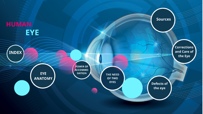 human eye by Yousra Boukaissi on Prezi