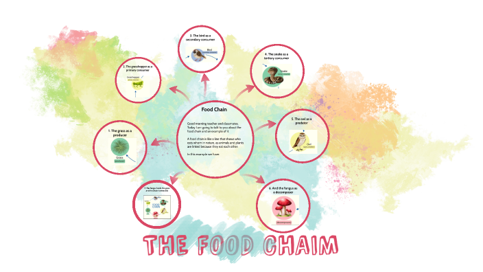 FOOD CHAIN by Lesly Juliana Jiménez Torres on Prezi