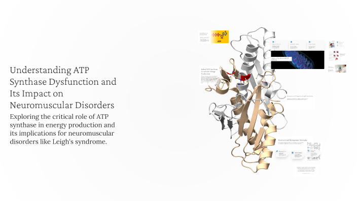 Understanding ATP Synthase Dysfunction and Its Impact on Neuromuscular ...